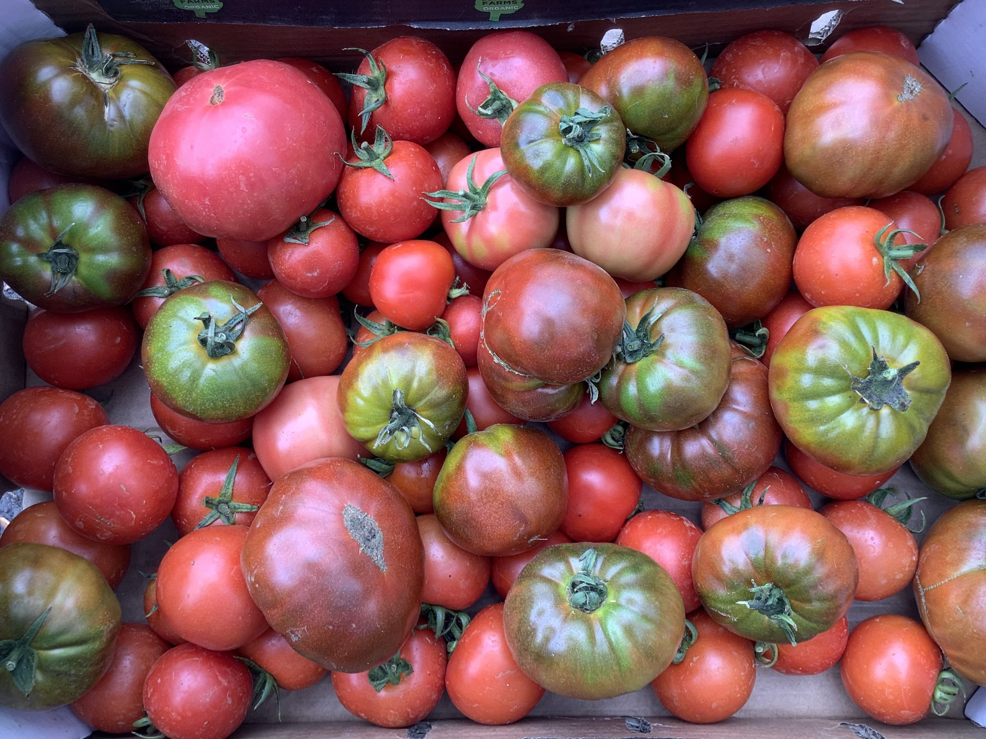 Mixed Tomatoes - 400g